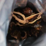 與成天下檳榔｜金石之交 原味 40g/包｜精選海南萬寧果 無灰不染色 免吐汁提神：圖片 2