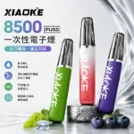 梟客 XIAOKE 8500口 口紅款 拋棄式電子煙｜20種口味 8.5ml MESH網狀芯 氣流可調